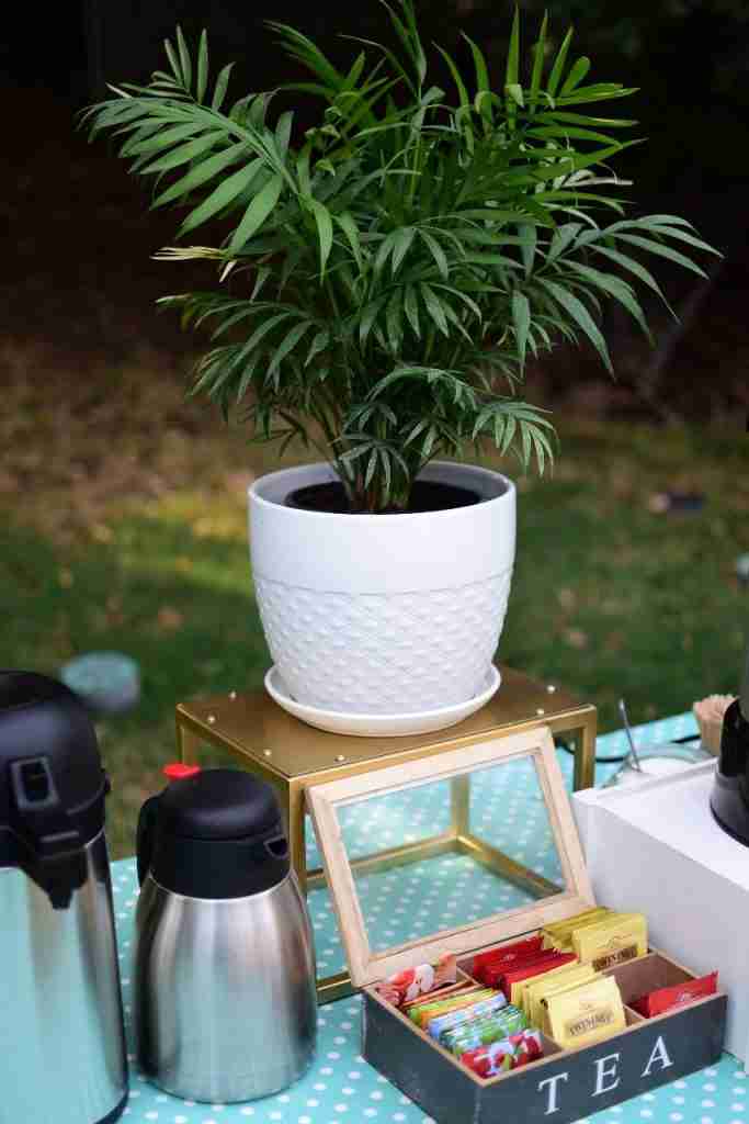 Banquetería Saludable – THE BODY SHOP KICK OFF 2020