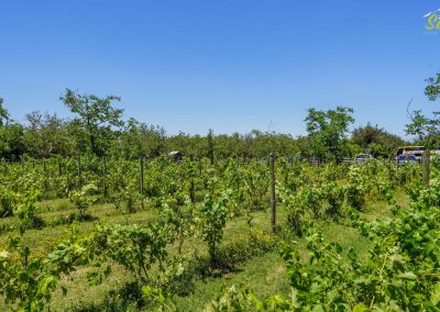 Nuevo centro de eventos en San Bernardo: El Refugio Campestre Perfecto para tus Eventos en Santiago